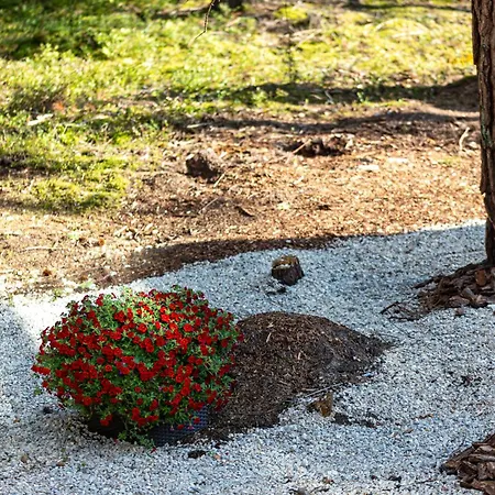 Roostajaerve Minivilla * Elbiku