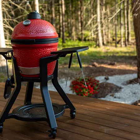 Roostajaerve Minivilla Villa Elbiku