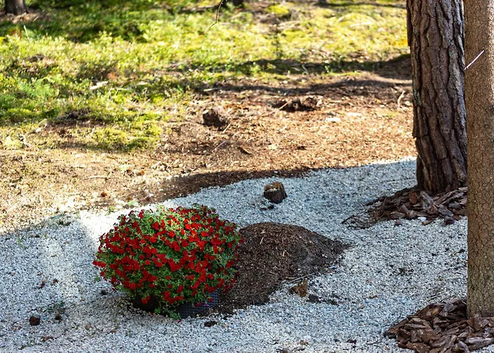 Roostajaerve Minivilla * Elbiku