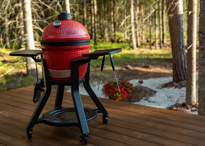 Roostajaerve Minivilla וילה Elbiku